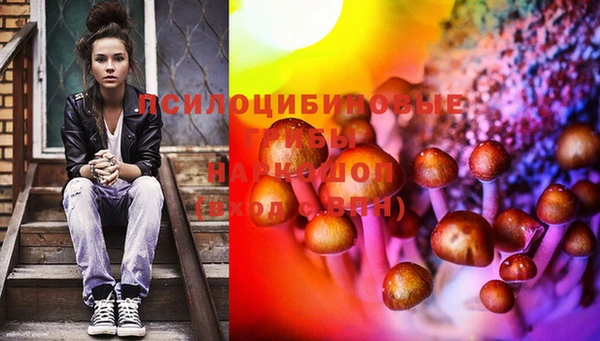 шишки Алзамай