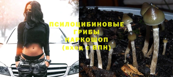 сатива Абдулино