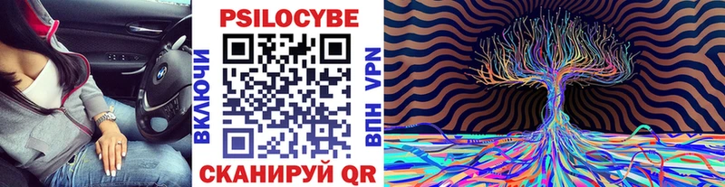 где купить   Усть-Кут  Псилоцибиновые грибы Cubensis 