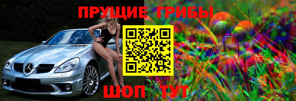 Галлюциногенные грибы мухоморы Усть-Кут