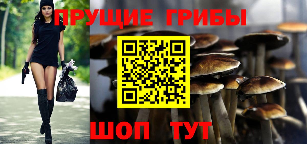 Галлюциногенные грибы Cubensis  купить  цена  Усть-Кут  Вход с VPN 